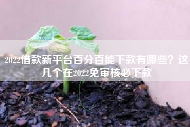 2022借款新平台百分百能下款有哪些？这几个在2022免审核必下款