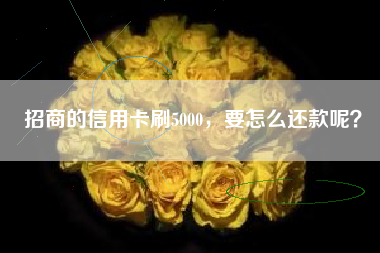 招商的信用卡刷5000，要怎么还款呢？