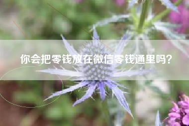 你会把零钱放在微信零钱通里吗？