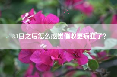 3.1日之后怎么感觉催收更疯狂了？