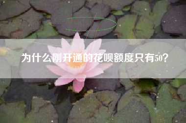 为什么刚开通的花呗额度只有50？