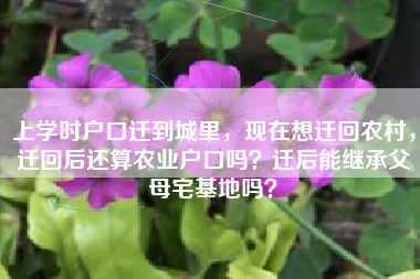 上学时户口迁到城里，现在想迁回农村，迁回后还算农业户口吗？迁后能继承父母宅基地吗？