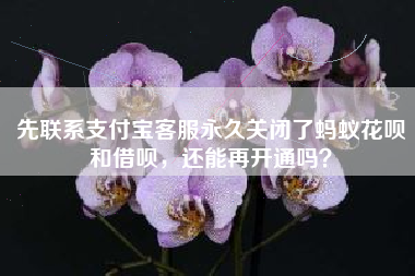 先联系支付宝客服永久关闭了蚂蚁花呗和借呗，还能再开通吗？