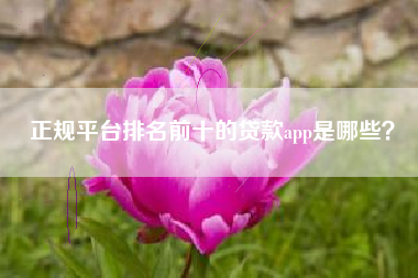 正规平台排名前十的贷款app是哪些？