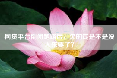 网贷平台倒闭跑路后，欠的钱是不是没人来要了？
