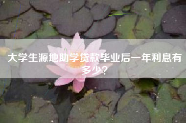 大学生源地助学贷款毕业后一年利息有多少？