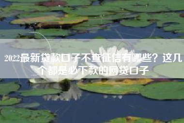 2022最新贷款口子不查征信有哪些？这几个都是必下款的网贷口子