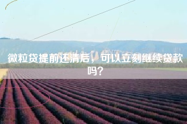 微粒贷提前还清后，可以立刻继续贷款吗？
