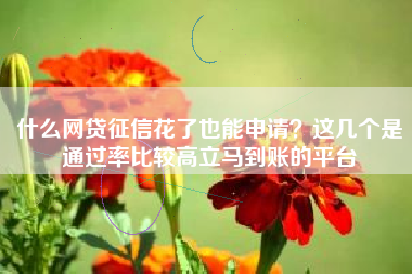 什么网贷征信花了也能申请？这几个是通过率比较高立马到账的平台