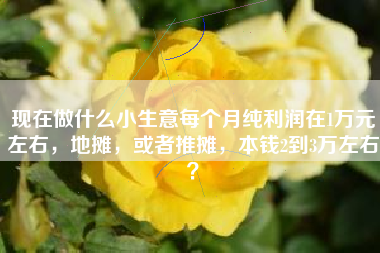 现在做什么小生意每个月纯利润在1万元左右，地摊，或者推摊，本钱2到3万左右？