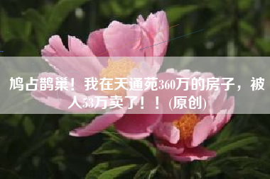 鸠占鹊巢！我在天通苑360万的房子，被人53万卖了！！(原创)