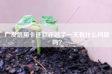 广发信用卡还款还迟了一天有什么问题吗？