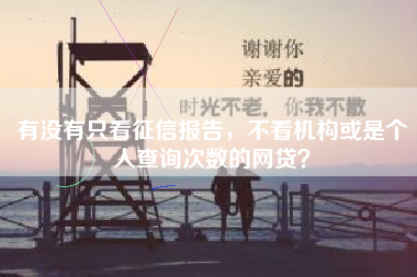 有没有只看征信报告，不看机构或是个人查询次数的网贷？