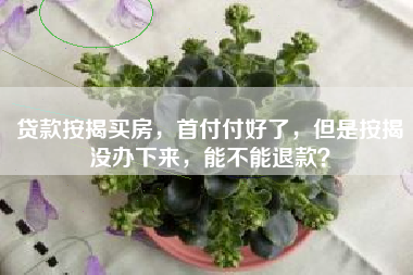 贷款按揭买房，首付付好了，但是按揭没办下来，能不能退款？