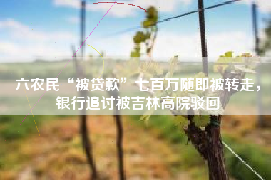 六农民“被贷款”七百万随即被转走，银行追讨被吉林高院驳回