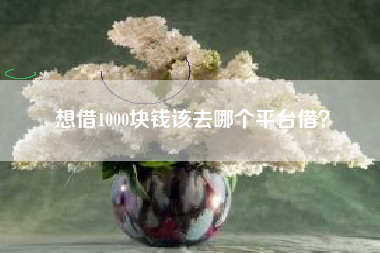 想借1000块钱该去哪个平台借？