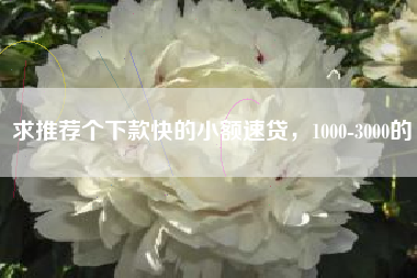 求推荐个下款快的小额速贷，1000-3000的