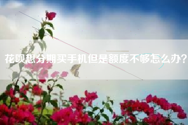 花呗想分期买手机但是额度不够怎么办？