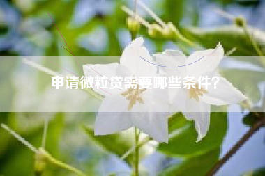 申请微粒贷需要哪些条件？