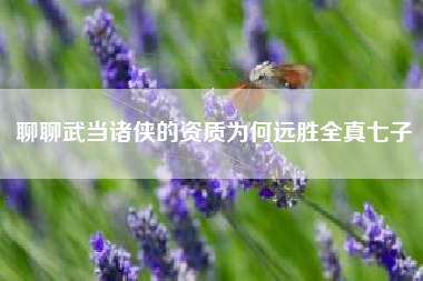 聊聊武当诸侠的资质为何远胜全真七子