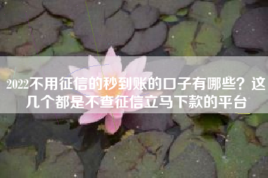 2022不用征信的秒到账的口子有哪些？这几个都是不查征信立马下款的平台