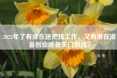 2022年了有谁在迷茫找工作，又有谁在准备创业或者关门倒闭？
