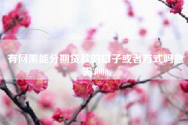有网黑能分期贷款的口子或者方式吗急需3000