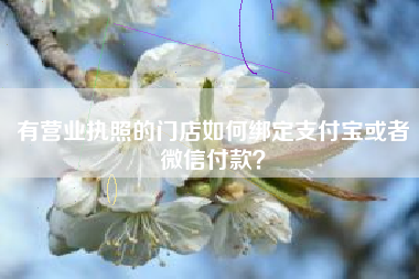 有营业执照的门店如何绑定支付宝或者微信付款？