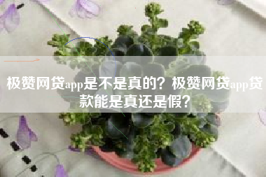 极赞网贷app是不是真的？极赞网贷app贷款能是真还是假？