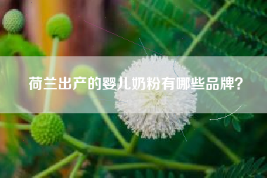荷兰出产的婴儿奶粉有哪些品牌？