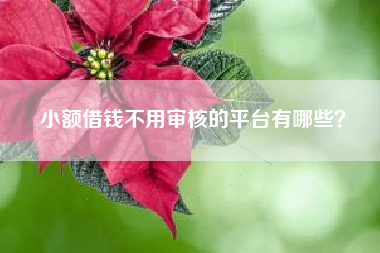 小额借钱不用审核的平台有哪些？