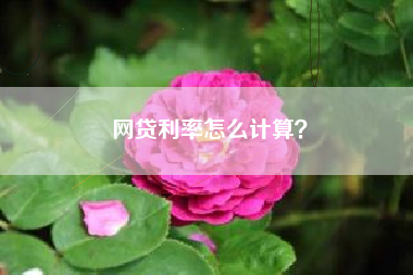 网贷利率怎么计算？