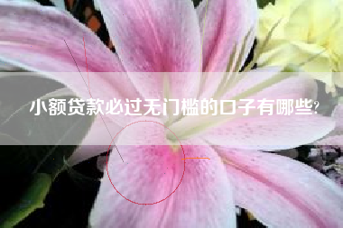 小额贷款必过无门槛的口子有哪些?
