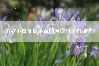 借款不看征信不审的网贷口子有哪些？