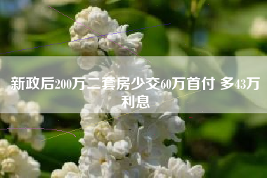 新政后200万二套房少交60万首付 多43万利息