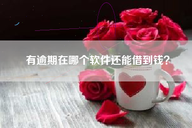 有逾期在哪个软件还能借到钱？