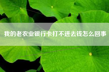 我的老农业银行卡打不进去钱怎么回事
