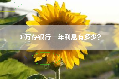 30万存银行一年利息有多少？