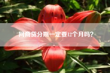 网商贷分期一定要12个月吗？
