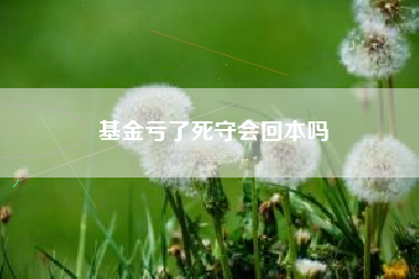 基金亏了死守会回本吗