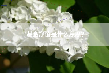 基金净值是什么意思？