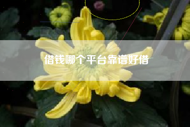 借钱哪个平台靠谱好借