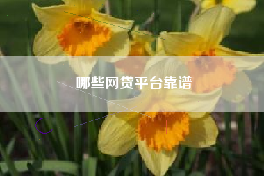 哪些网贷平台靠谱