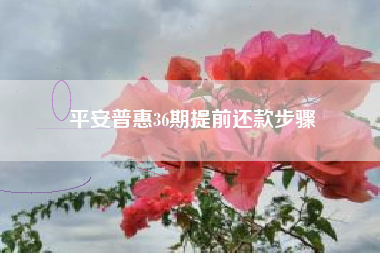 平安普惠36期提前还款步骤