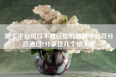 哪个平台可以不查征信的借款平台百分百通过?分享这几个给大家