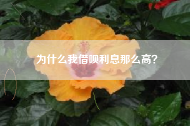 为什么我借呗利息那么高？