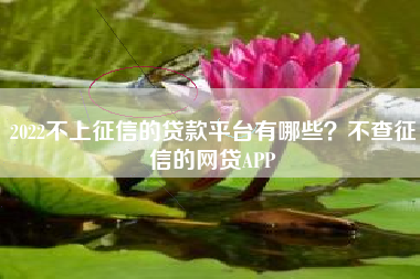 2022不上征信的贷款平台有哪些？不查征信的网贷APP
