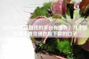 2022100%可以借钱的平台有哪些？几个征信花不查负债也能下款的口子