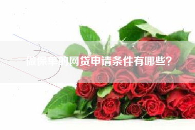 做保单的网贷申请条件有哪些？