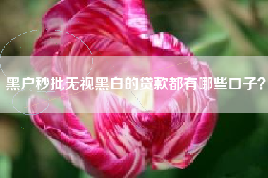 黑户秒批无视黑白的贷款都有哪些口子？